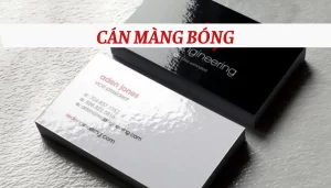 cán màng bóng 