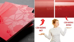 màng bóng & màng mờ