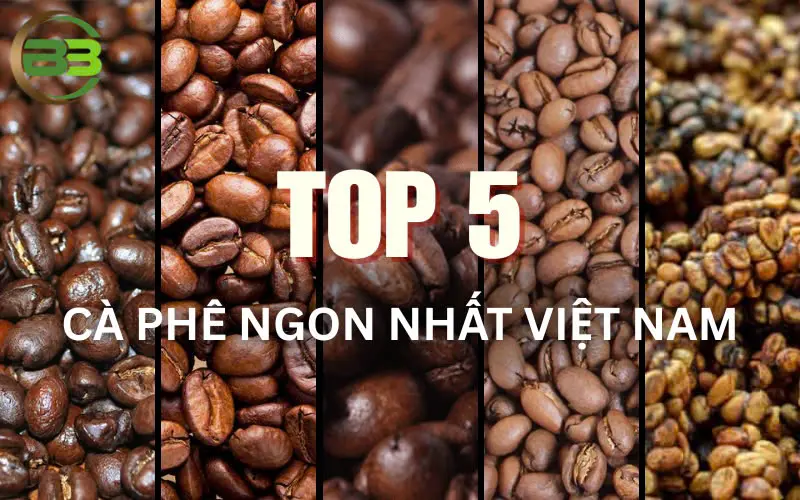 top 5 loại cà phê ngon