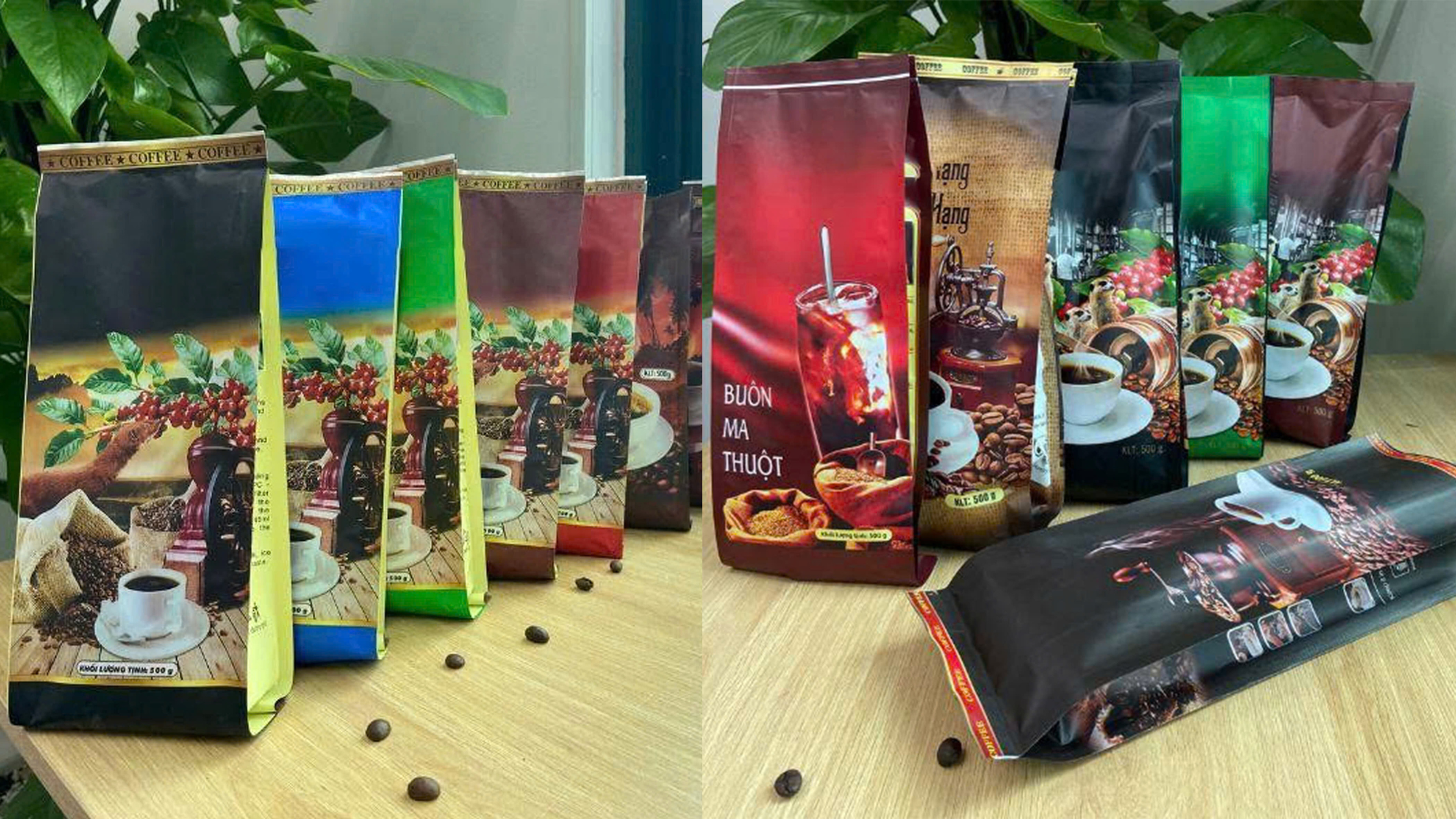 5 Lý do không nên chọn bao bì cà phê có sẵn cho thương hiệu nhỏ & startup