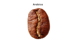Bao bì cà phê Arabica chuẩn xu hướng năm 2025