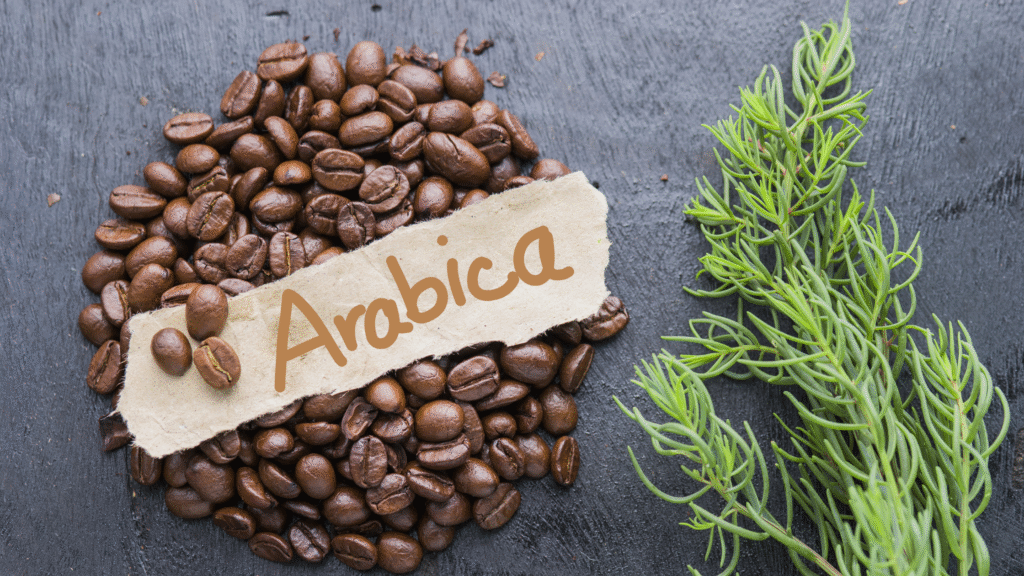 Bao bì cà phê Arabica chuẩn xu hướng năm 2025