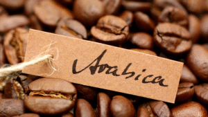 Bao bì cà phê Arabica chuẩn xu hướng năm 2025