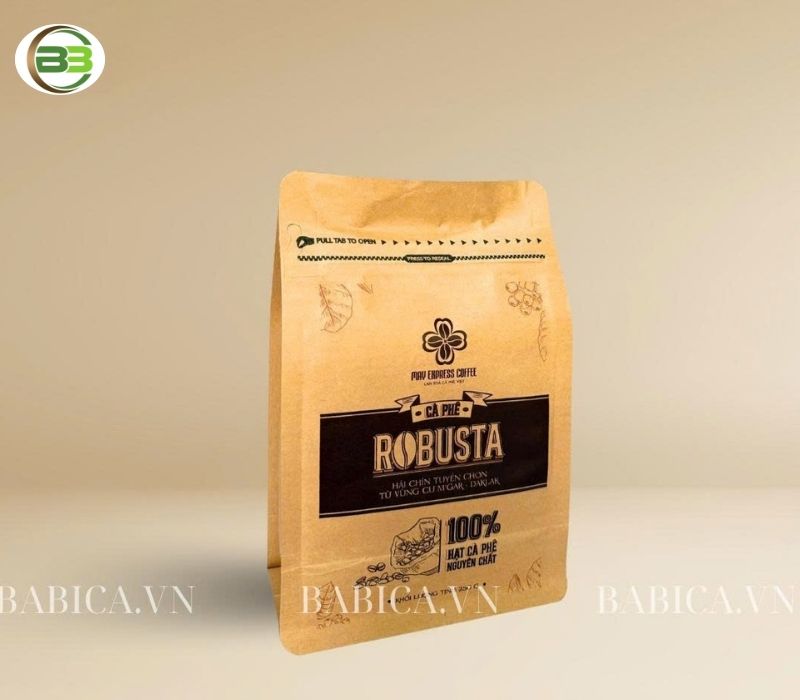 mẫu bao bì giấy kraft